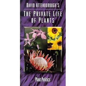 Private Life of Plants, Volume 4: Plant Politics [VHS]