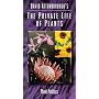 Private Life of Plants, Volume 4: Plant Politics [VHS]