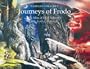 The Journeys of Frodo