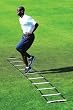 Basic Agility Ladder