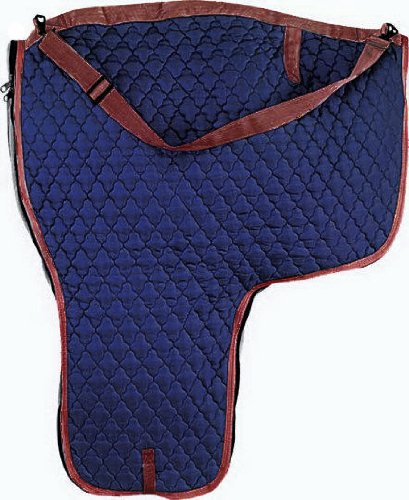 Western Saddle Case or Carry Bag [Misc.]