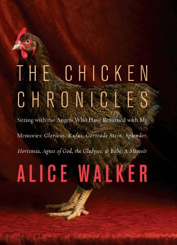 The Chicken Chronicles: Sitting with the Angels Who Have Returned with My Memories: Glorious, Rufus, Gertrude Stein, Splendo