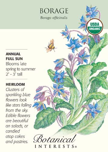 Borage Seeds - 1 gram - Organic Borage Seeds - 1 gram - Organic