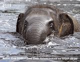 Berlin: Eine Stadt - Zwei Zoos 2009