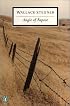 Angle of Repose (Penguin Twentieth-Century Classics)
