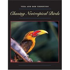 Chasing Neotropical Birds (Corrie Herring Hooks Series)
