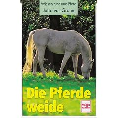 Die Pferdeweide