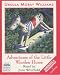 Book Adventures of the Little Wooden Horse