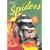 Florida's Fabulous Spiders