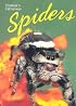 Florida's Fabulous Spiders