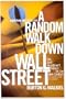 A Random Walk Down Wall Street: The Best Investment Advice for the New Century
