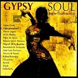 Gypsy Soul: New Flamenco
