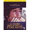 Il Fiore Delle Mille E Una Notte