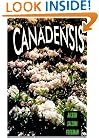 Canadensis