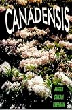 Canadensis