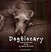 Dogtionary: Meaningful Portraits of Dogs