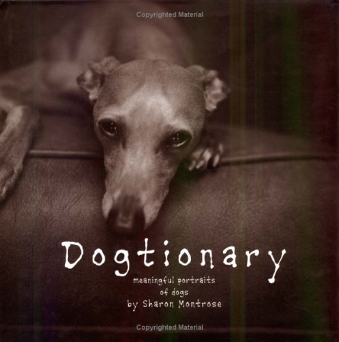 Documentary-collections