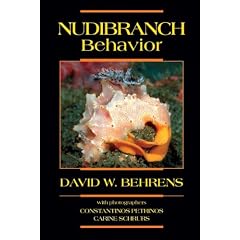 Nudibranch Behavior