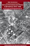 Die elektrochemischen Werke in Bitterfeld 1914-1945. Ein Standort der IG-Farbenindustrie AG - Dirk Hackenholz