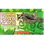 Rainforest Friends Sugar Glider