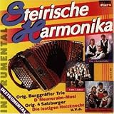 Steirische Harmonika Instrumen