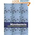 Myxobacteria: Multicellularity and Differentiation