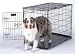 Pet Supplies : Deluxe Edition Petmate Wire Kennel - 36 in. x 24 in. x 28 1/2 in.