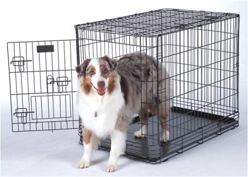 Childrens Toyshop  Pet Supplies : Deluxe Edition Petmate Wire Kennel - 36 in. x 24 in. x 28 1/2 in.