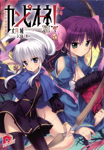 カンピオーネ! 12 かりそめの聖夜 (カンピオーネ! シリーズ) (集英社スーパーダッシュ文庫)