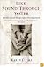 Like Sound Through Water : A Mother's Journey Through Auditory Processing Disorder