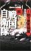 続戦国自衛隊(1)関ヶ原死闘編