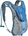 Sporting Goods : CamelBak Women's Dream 2.1-Liter Hydration Pack