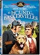 The Hound of the Baskervilles