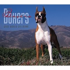 Boxers Boxed 2001 Calendar