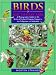 Birds of South-east Asia: A Photographic Guide