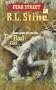 The Bad Girl (New Fear Street, Book 4)