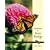 Explorations in Basic Biology (9th Edition)