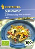 Keimsprossen Bio Rauke
