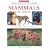 Field Guid to Larger Mammals of Africa (Field Guide)