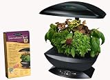 AeroGarden International Basil Seed Kit