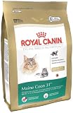 Royal Canin Dry Cat Food, Maine Coon 31 Formula, 2.5-Pound Bag