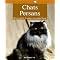 chat perdu race