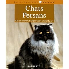 Les Chats persan