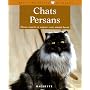 Les Chats persan