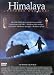 DVD : Himalaya, l'enfance d'un chef
