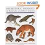 Prehistoric Mammals of Australia and New Guinea: One Hundred Million Years of Evolution