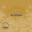 Bambuddha Grove - the Gathering: Compiled & Mixed By M.O.C. Paoli