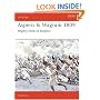 Aspern & Wagram 1809: Mighty Clash Of Empires (Campaign)