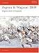 Aspern & Wagram 1809: Mighty Clash Of Empires (Campaign)