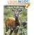 Deer Stalking and Management